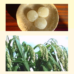 黍と黍団子の画像